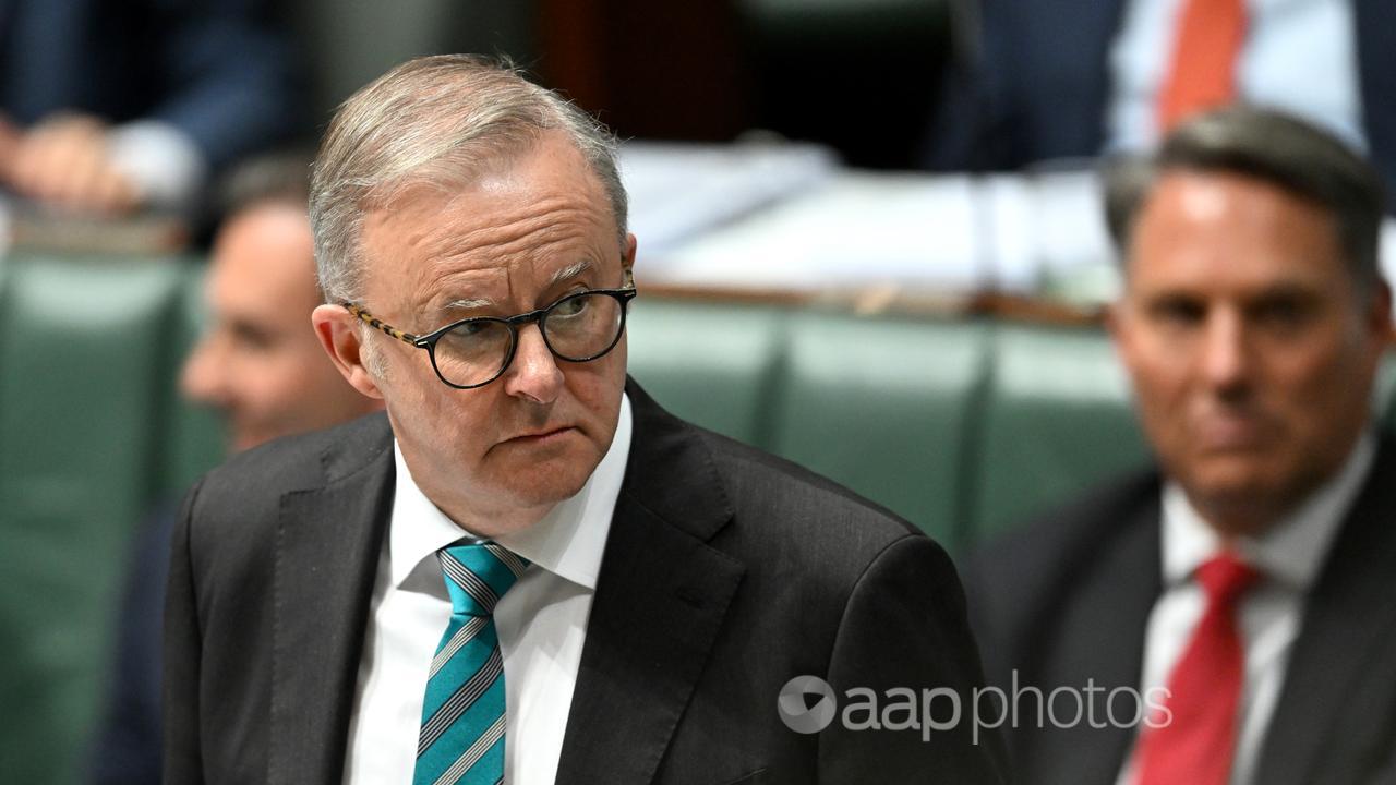 Prime Minister Anthony Albanese speaks during Question Time.