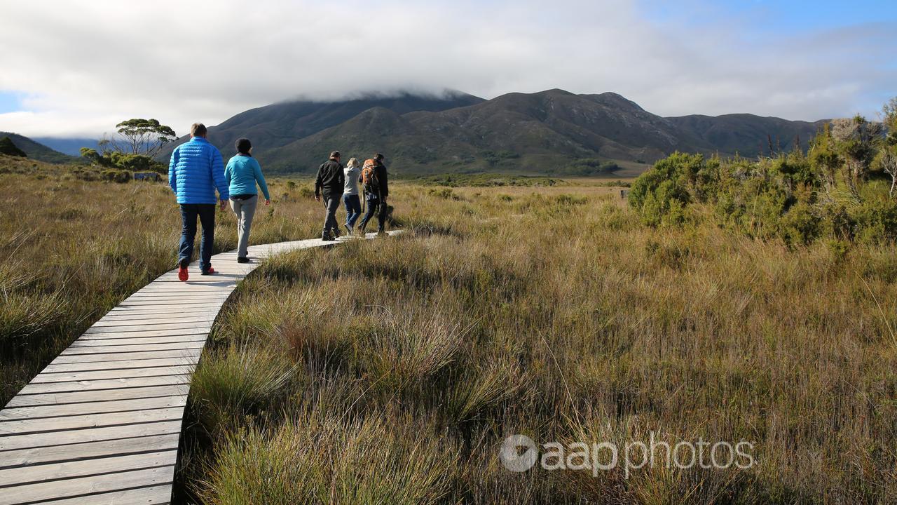 Melaleuca in Tasmania's Wilderness World Heritage Area