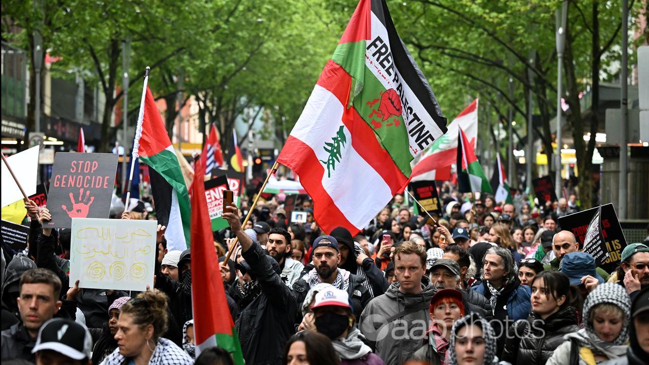 Protesters march during a Pro-Palestine rally (file image)