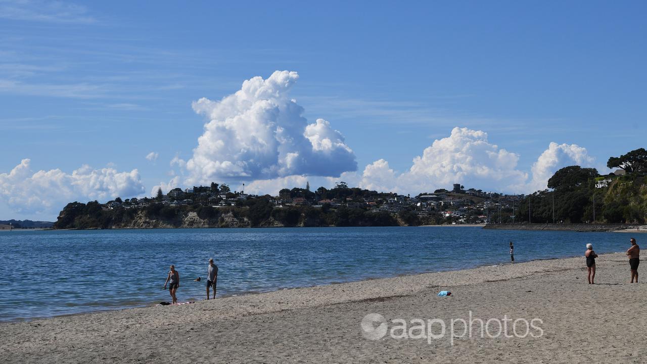 Kohi Beach in Auckland, New Zealand.