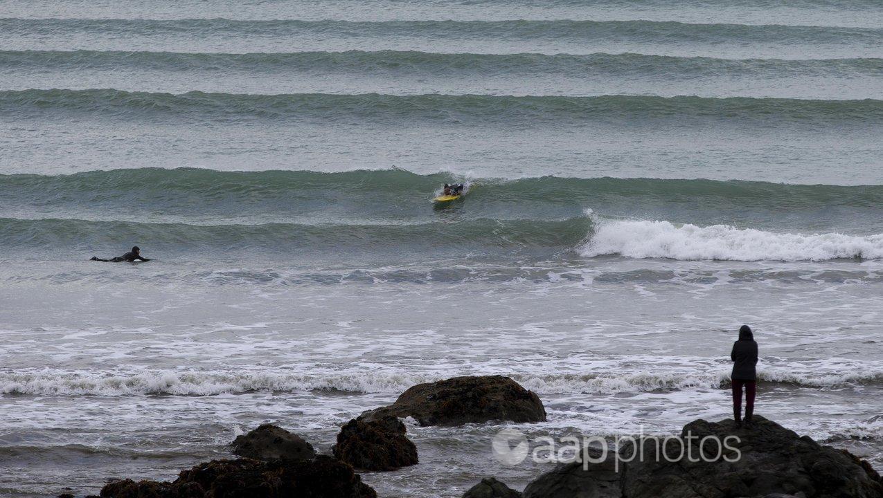 Surfer in the water at a fishing town in New Zealand.