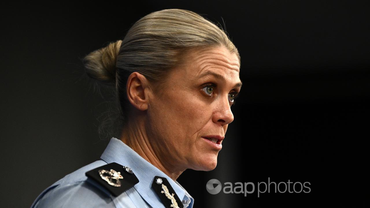 AFP Deputy Commissioner Krissy Barrett (file image)