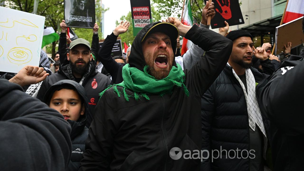 Protesters at a Pro-Palestine rally (file image)