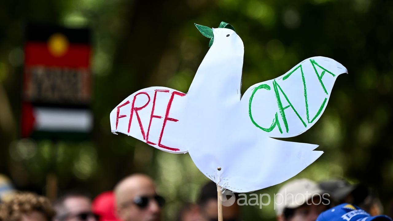 A Pro-Palestine demonstration in Sydney (file image)