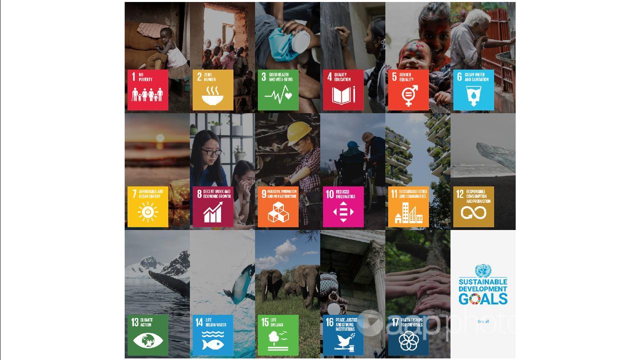 the UN Sustainable Development Goals