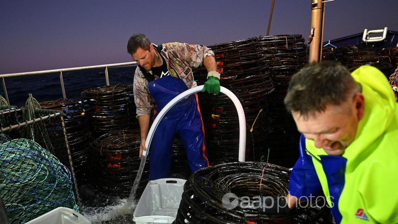 Crayfishermen at work on a boat