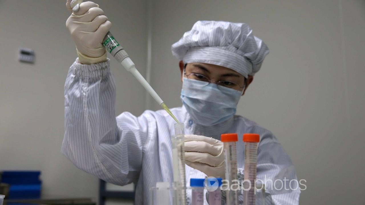 A technician at a biologial 