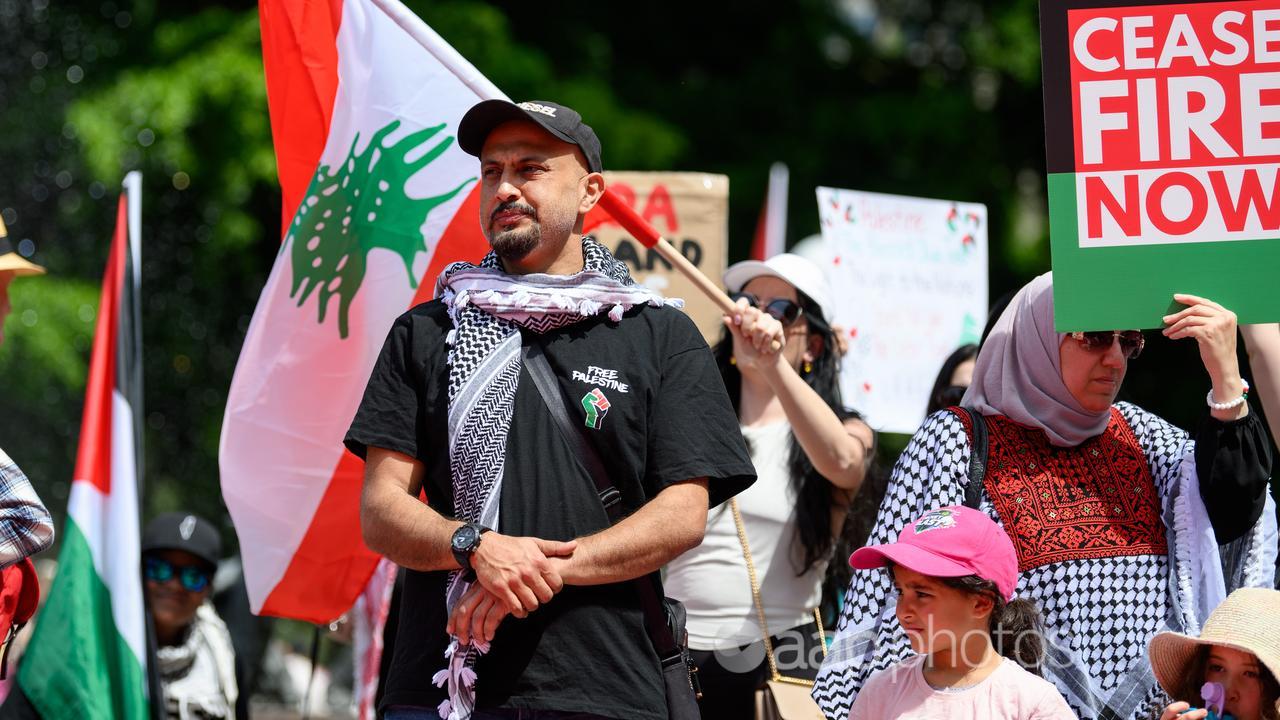 A Pro-Palestine rally in Sydney (file)