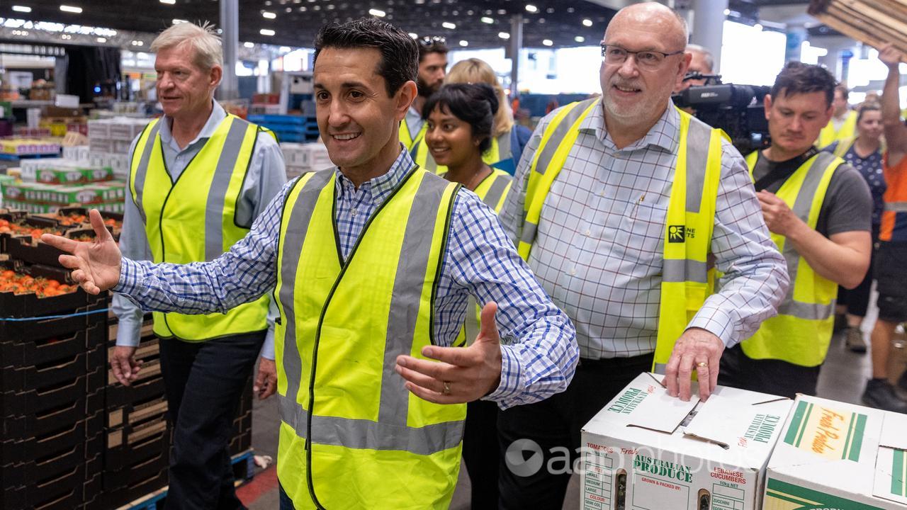 Opposition Leader David Crisafulli tours the Brisbane Markets