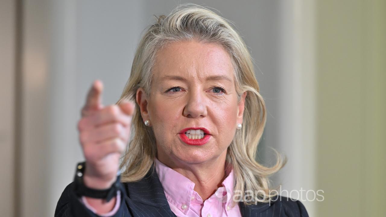 Bridget McKenzie (file image)