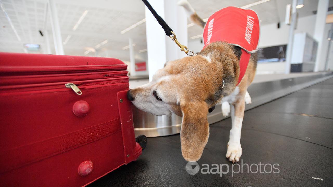 Australia has strong biosecurity measures in place.