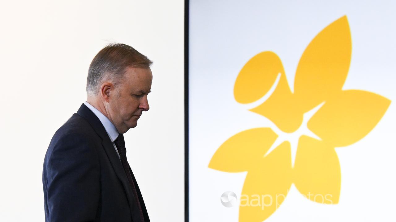 Australian Prime Minister Anthony Albanese at a Cancer Council event.