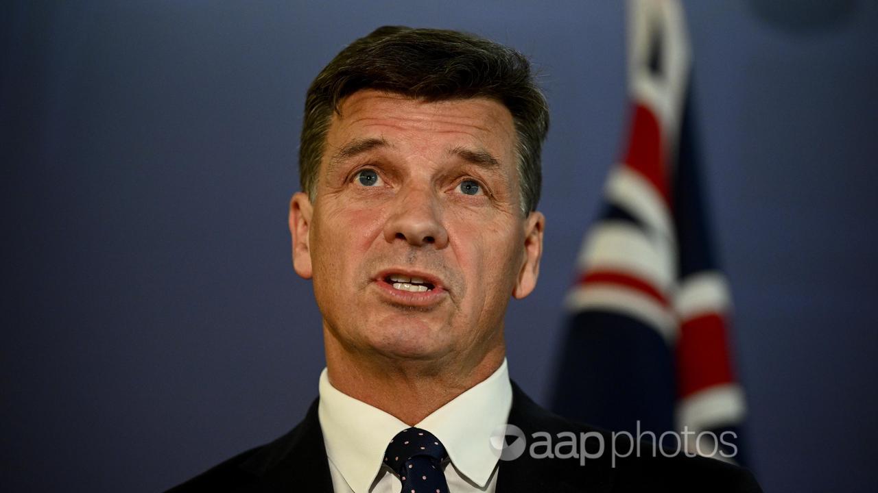 Shadow Treasurer Angus Taylor (file image)