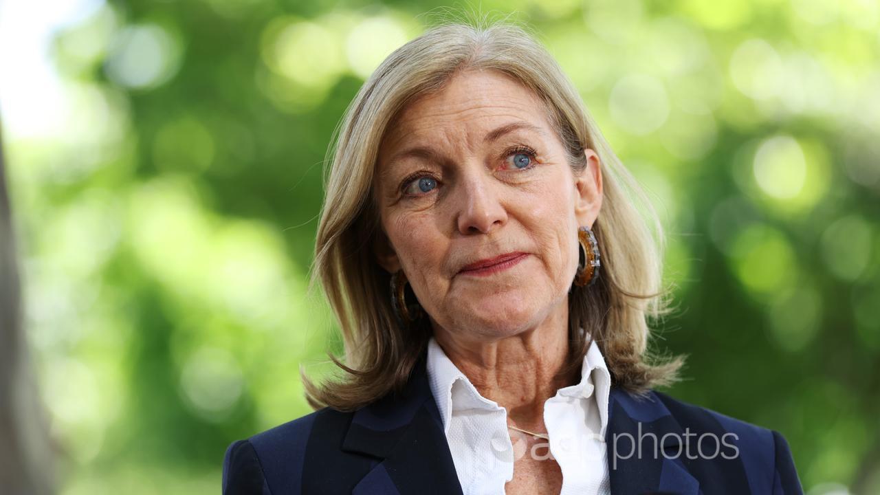 Former Victorian MP Fiona Patten speaks to media