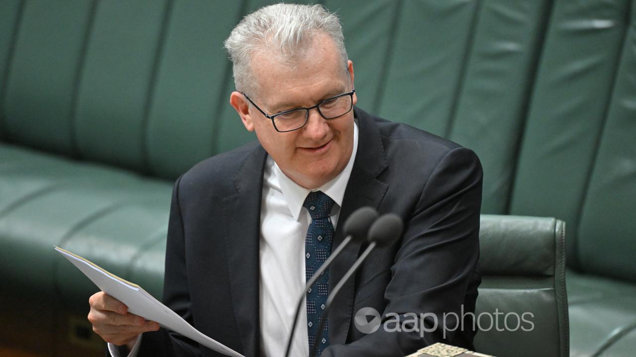 Immigration Minister Tony Burke 