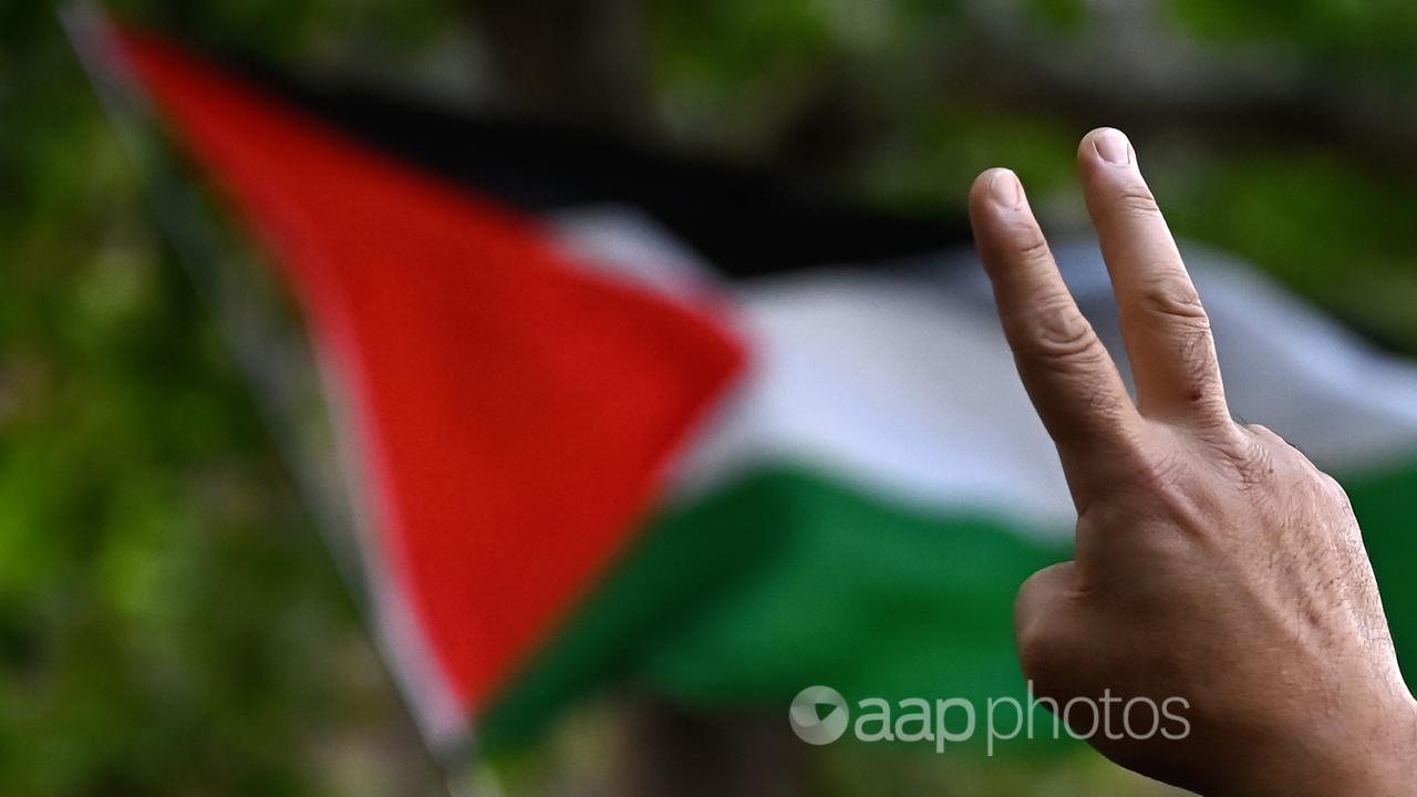 A peace sign hand gesture and a Palestinian flag (file image)