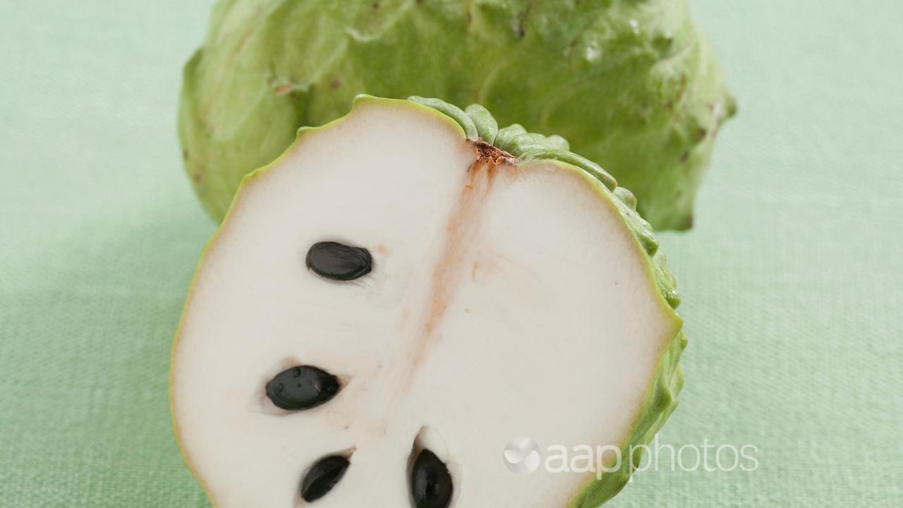 An African Pride Custard Apple.