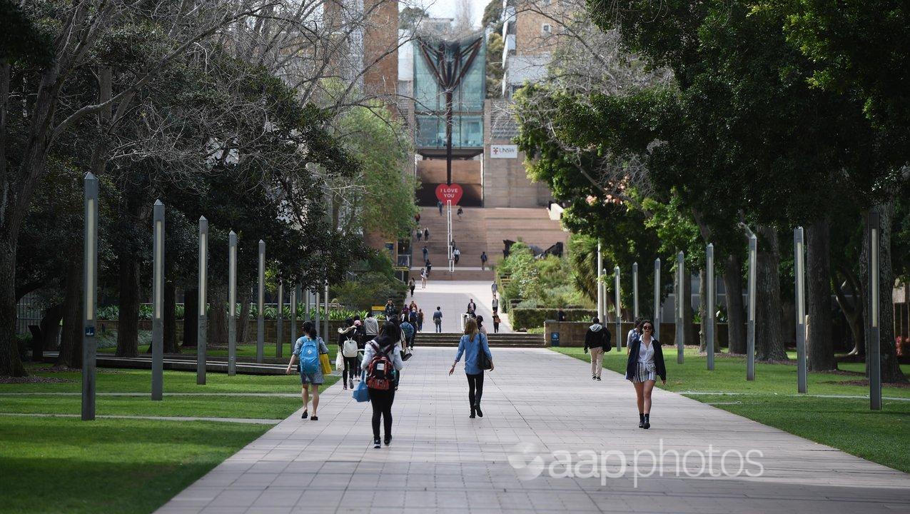 Students at UNSW