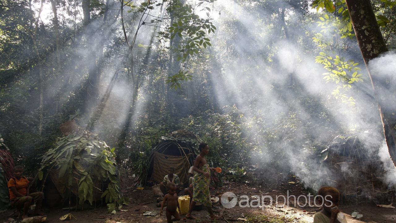 A pygmy camp in Okapi Wildlife Reserve in Congo.