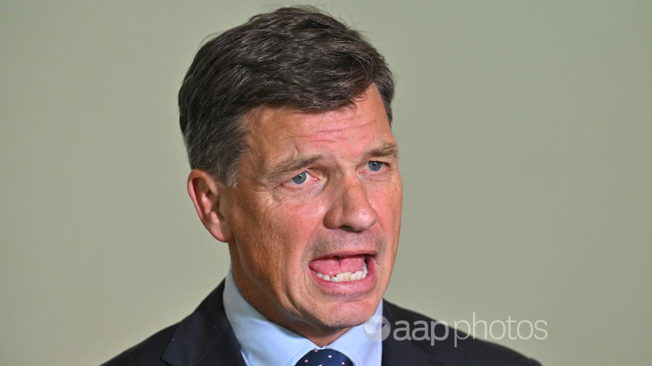 Federal shadow treasurer Angus Taylor