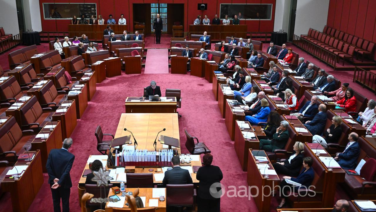 The chamber during a vote to suspend independent senator Lidia Thorpe