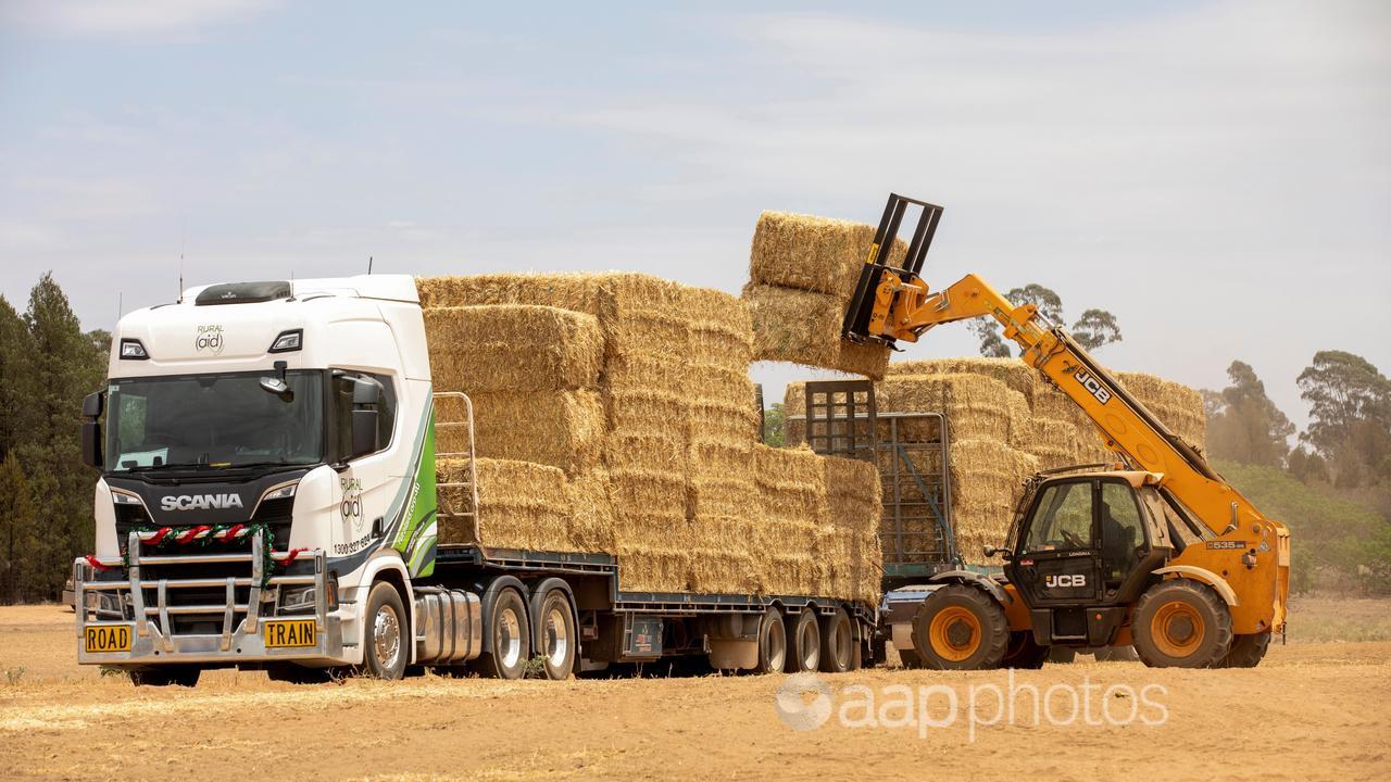 A forklift loads hay bales onto a truck near Wilmington, SA.