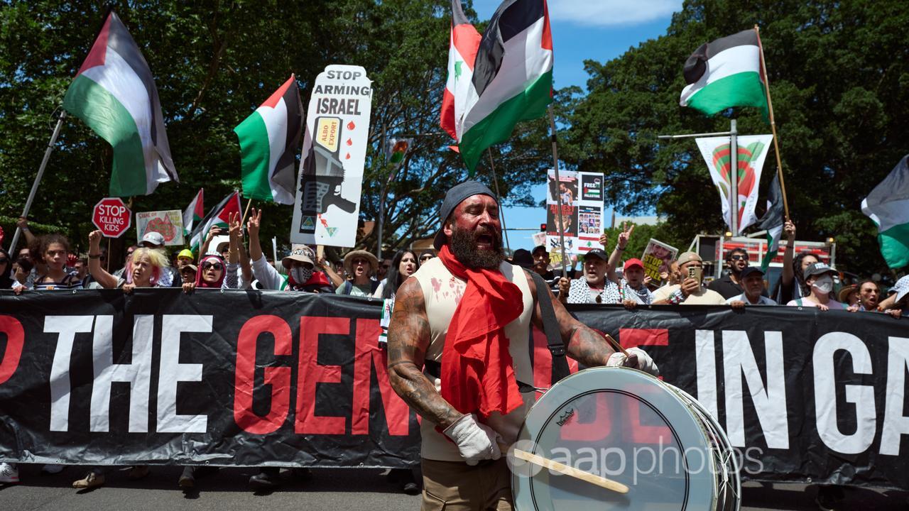 Pro Palestine protesters