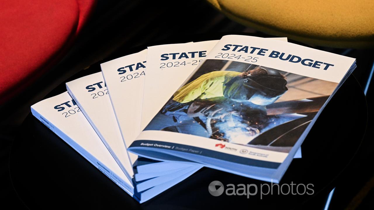 SA state budget documents (file image)