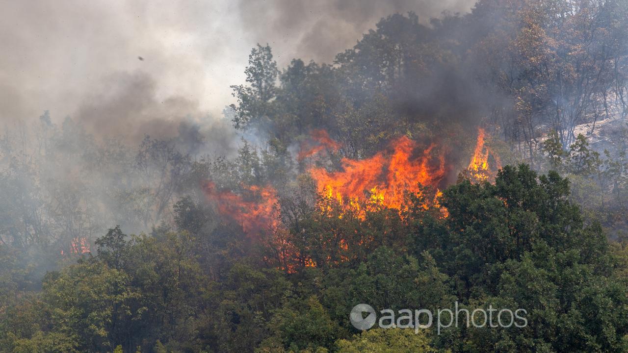 Wildfire in North Macedonia.