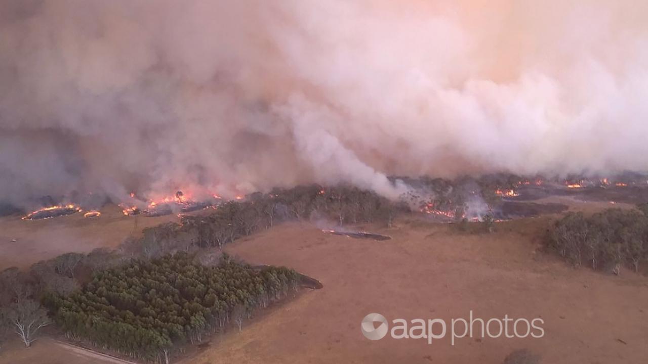 An accompanying image shows a bushfire in the Grampians National Park