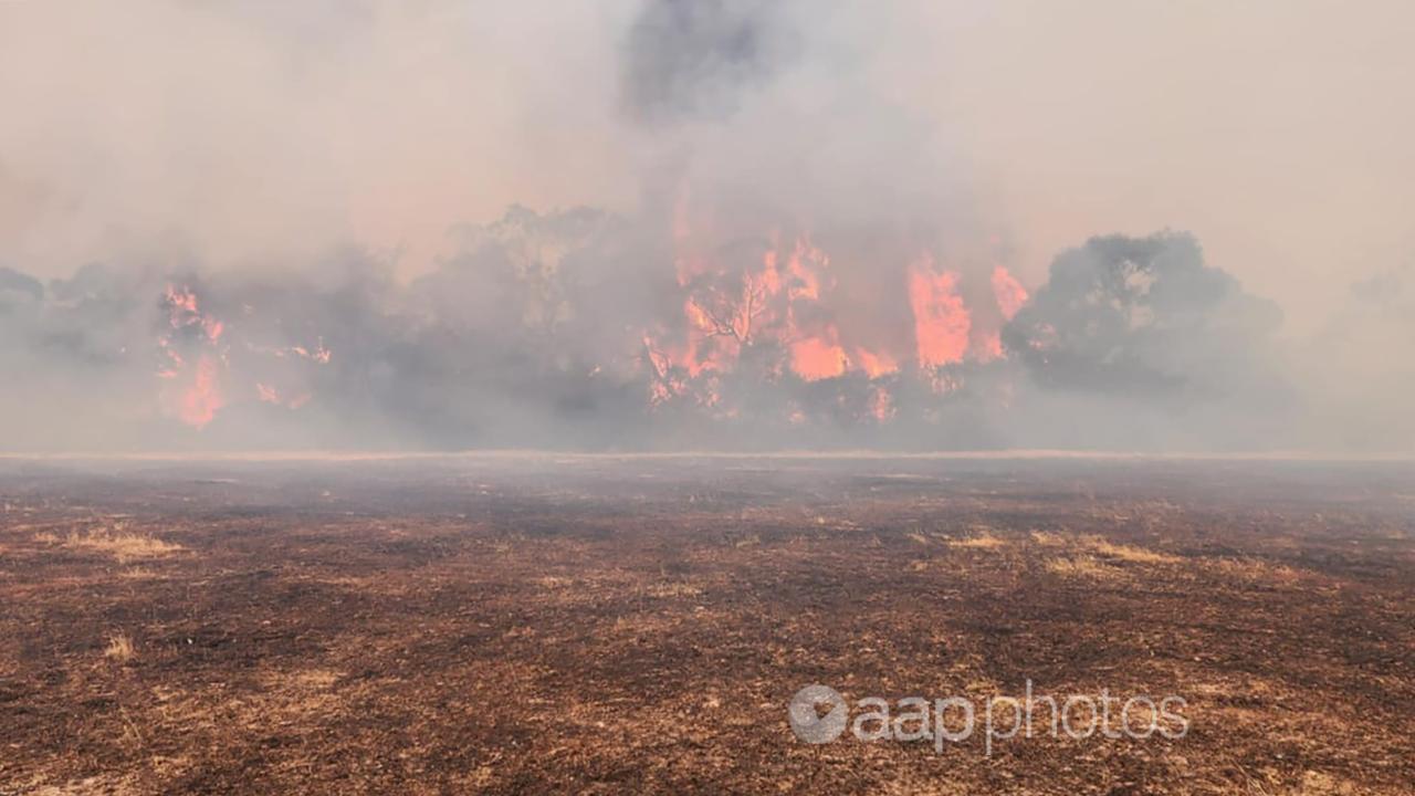 An out-of-control bushfire is raging in the Grampians National Park.