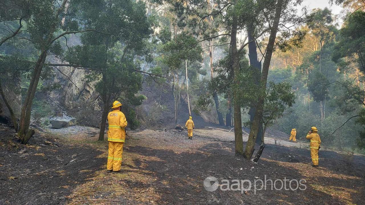 Firefighters try to control a massive forest fire.