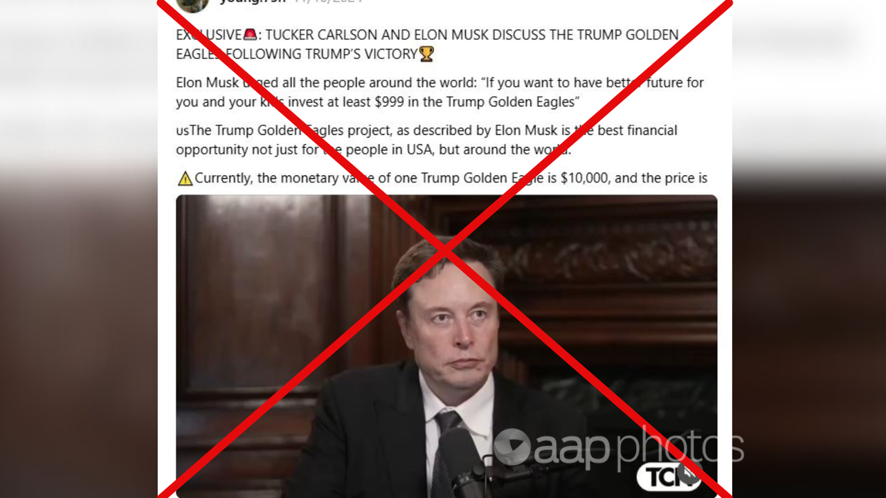 Screenshot of a manipulated video featuring Elon Musk.