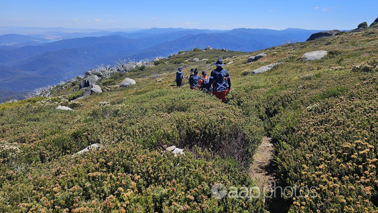 NSW SES personnel conducting a search for a missing hiker