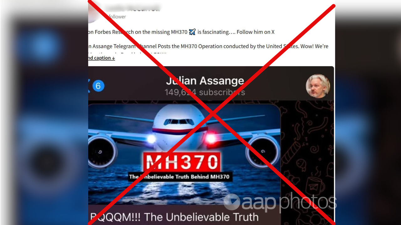 Screenshot of fake Julian Assange account shared on social media.