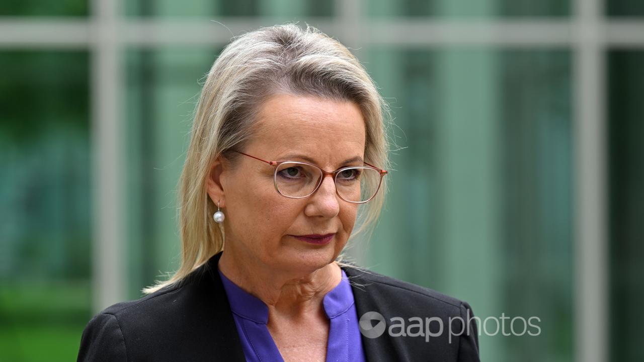 Deputy Leader of the Opposition Sussan Ley.