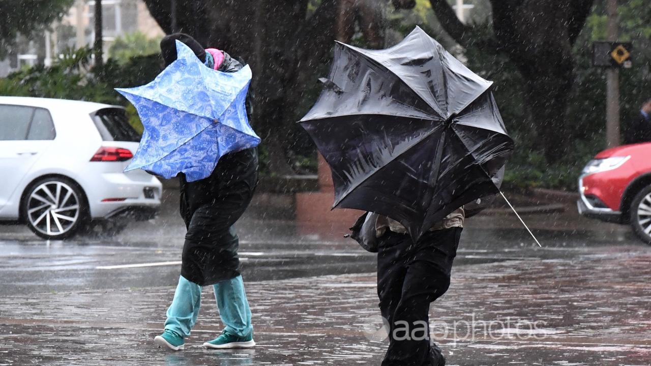 People hold umbrellas as they walk in heavy rain (file image)