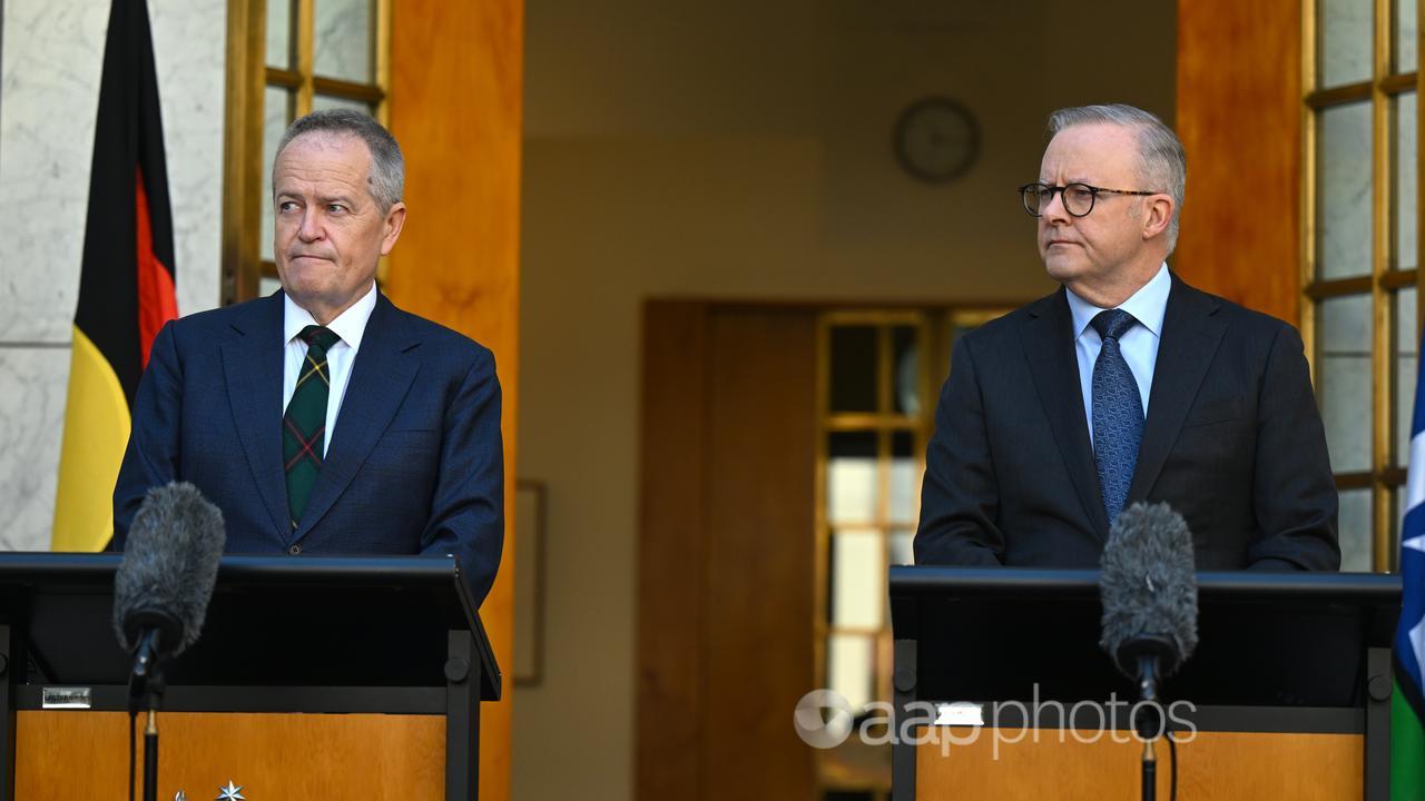 Bill Shorten and Anthony Albanese in September 2024