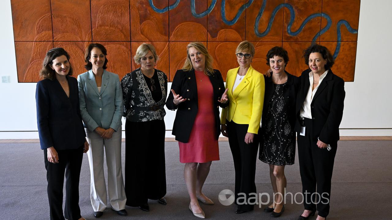 Independent federal MPs known as teals pose for a photo