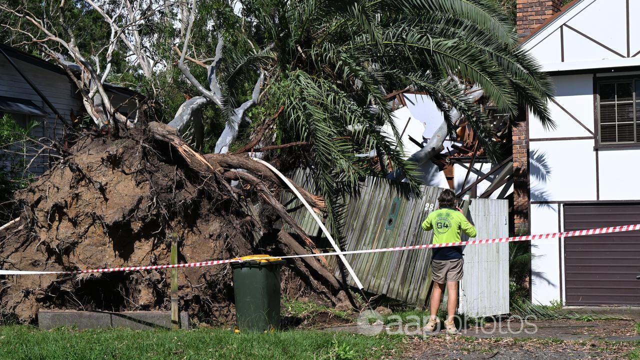 A house destroyed by fallen trees