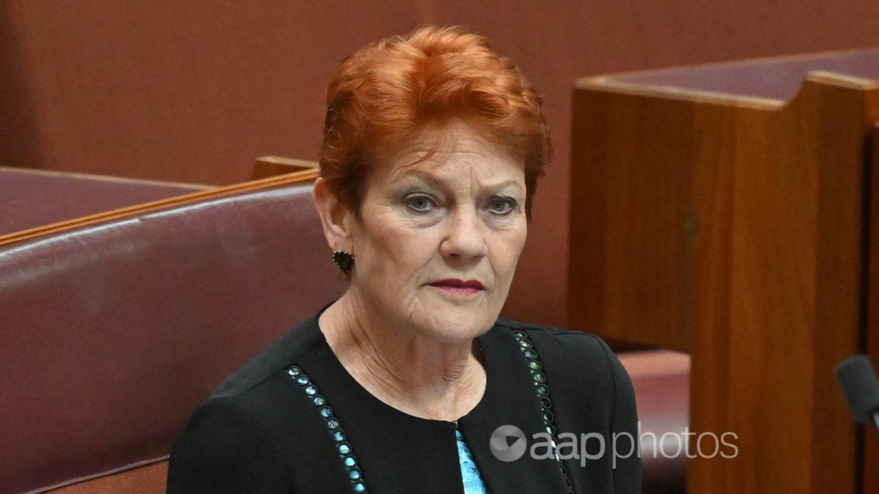 Pauline Hanson in the Senate chamber at Parliament House