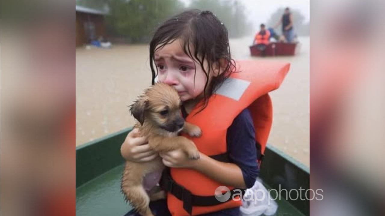 AI image of a little girl rescued from a flood with a puppy.