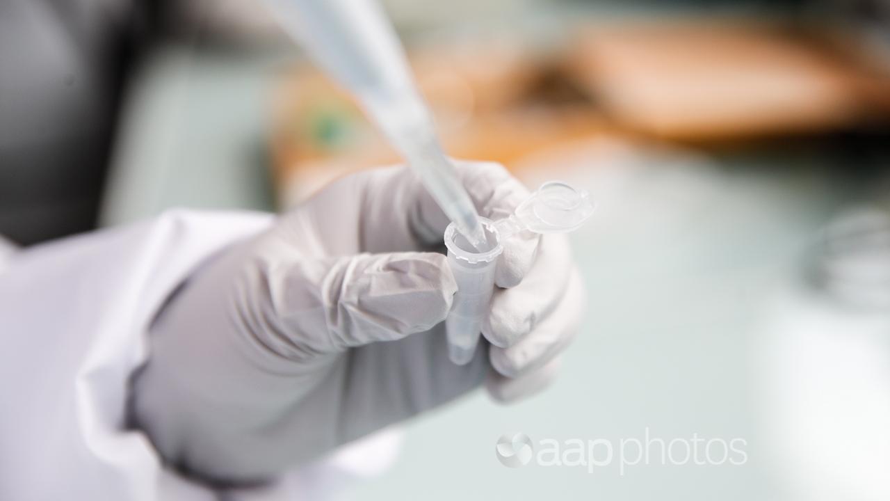 A researcher using a pipette.